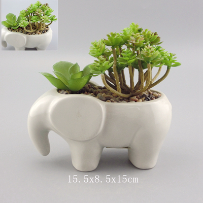 cheap ceramic plant pots