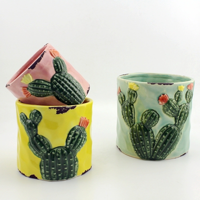 Ceramic Cactus Planter Sets