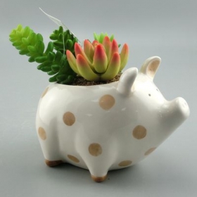 cochon mini planteur animal pot en céramique
