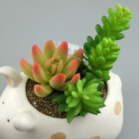 cochon mini planteur animal pot en céramique
