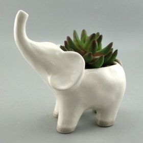 éléphant planteur vase poterie blanche