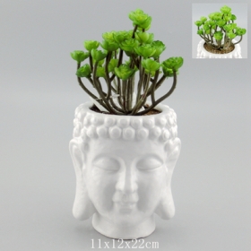 pots de plantes tête de Bouddha