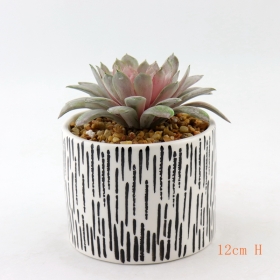 pots de plantes succulentes de bureau en céramique peinte en blanc et noir