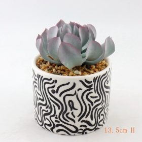 pots de plantes succulentes de bureau en céramique peinte en blanc et noir