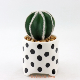 pots à plantes succulentes en céramique à petits points noirs